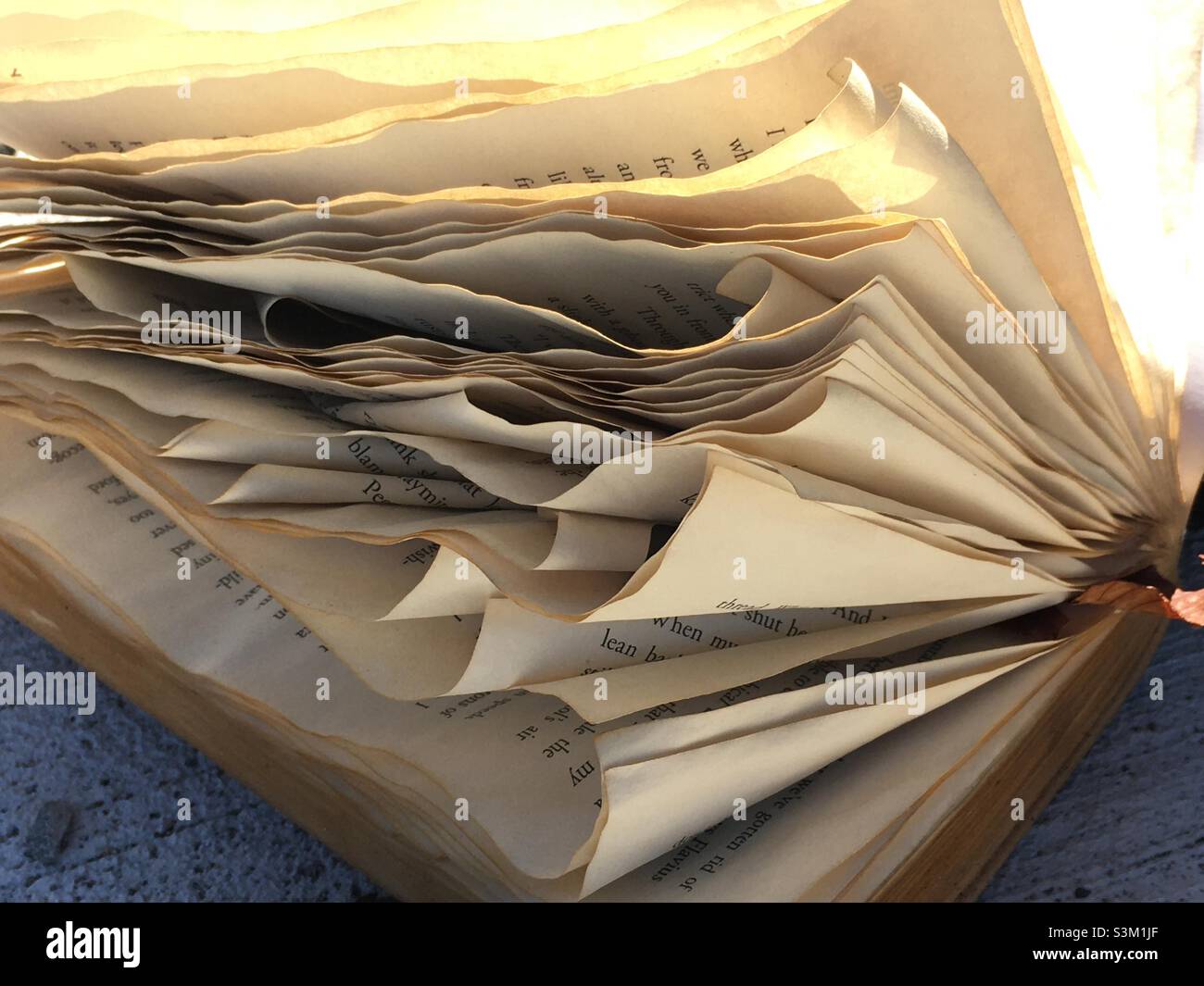 Hunger games not premiere not tussard hi-res stock photography and images -  Alamy