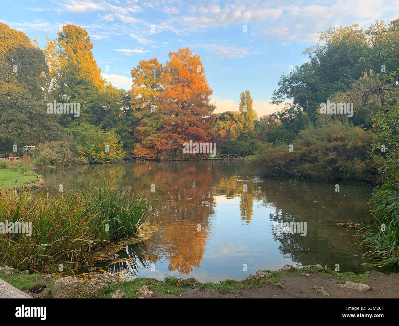 Reflections on a lake with Autumn colours. Parco Sempione, Milano, Italy. - Smartphone Captured Stock Image