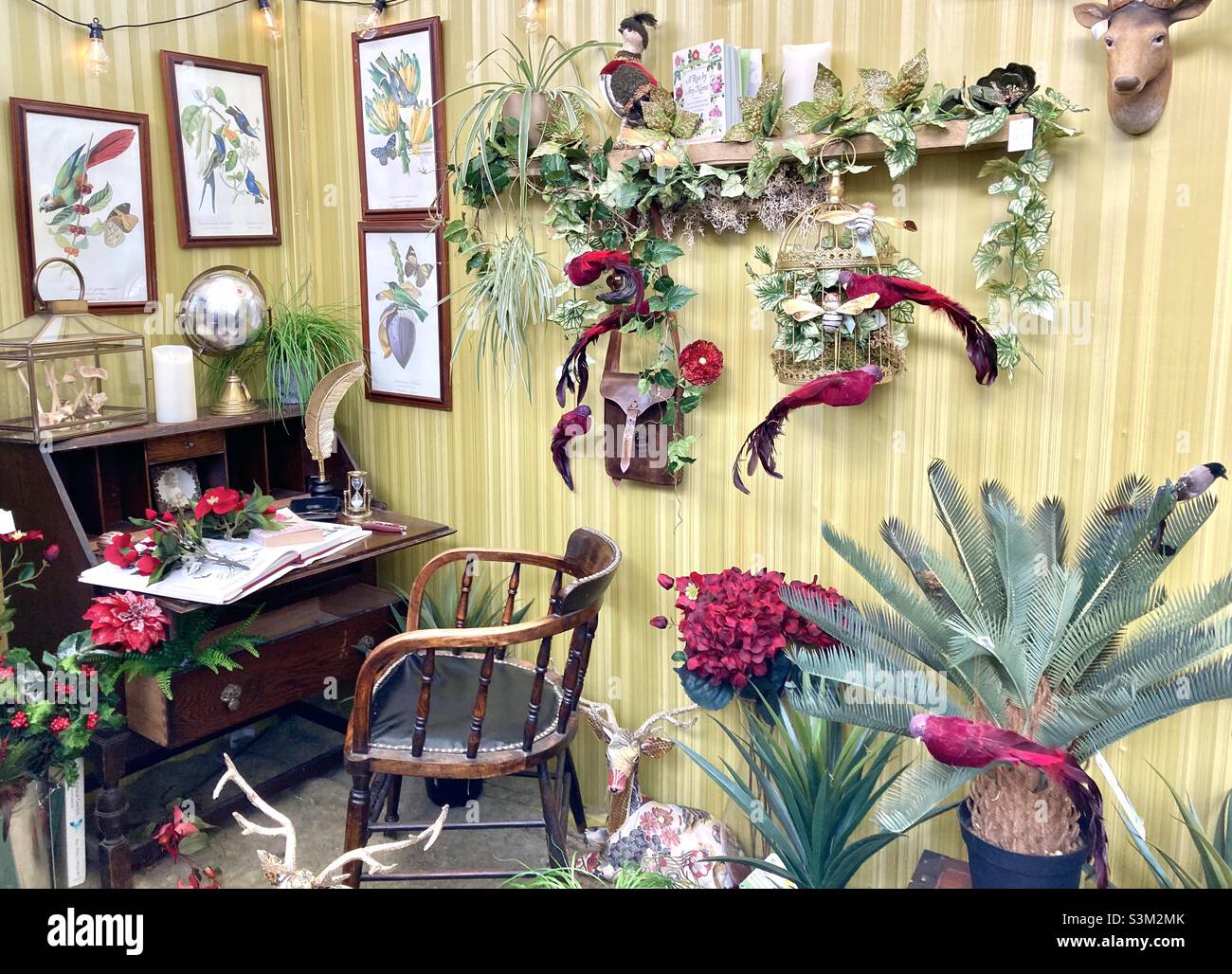 Christmas dressing room - Smartphone Captured Stock Image