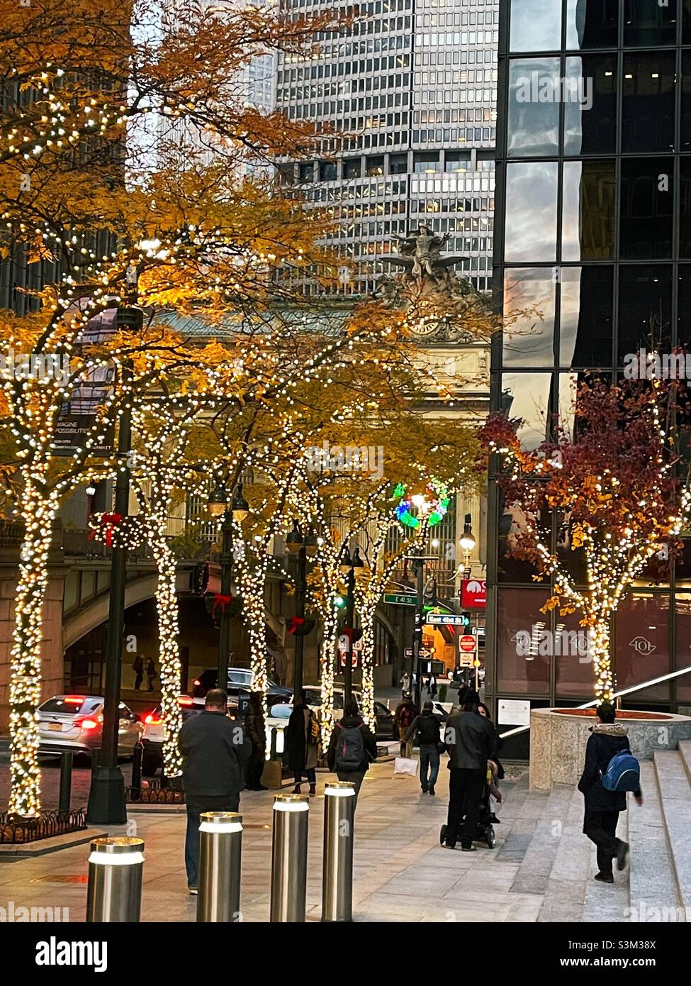 Trees covered in Christmas lights along Park Avenue in front of 101