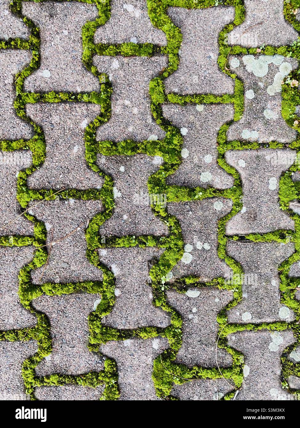Moss covered paving stones - Smartphone Captured Stock Image
