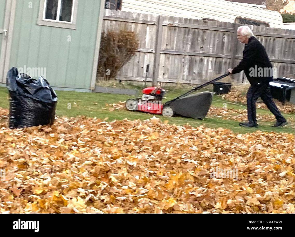 https://c8.alamy.com/comp/S3M3WW/elderly-man-mowing-his-lawn-and-his-fall-leaves-in-the-autumn-in-utah-usa-mowing-in-the-fall-is-a-great-way-to-pick-up-all-the-leaves-when-using-a-mulching-mower-its-faster-than-manually-raking-S3M3WW.jpg