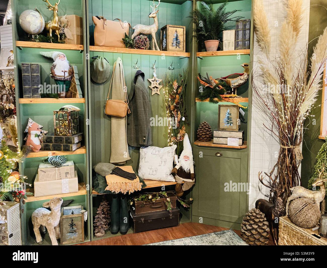 Natural study - Smartphone Captured Stock Image