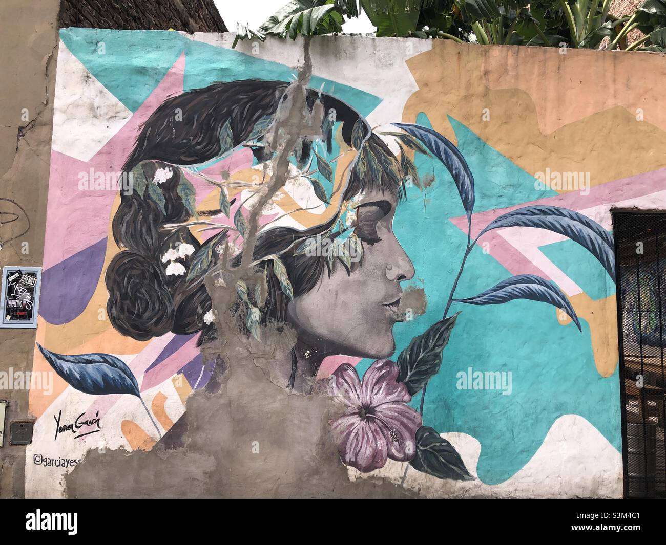 Urban street art in Palermo, a neighbourhood in Buenos Aires, Argentina. - Smartphone Captured Stock Image