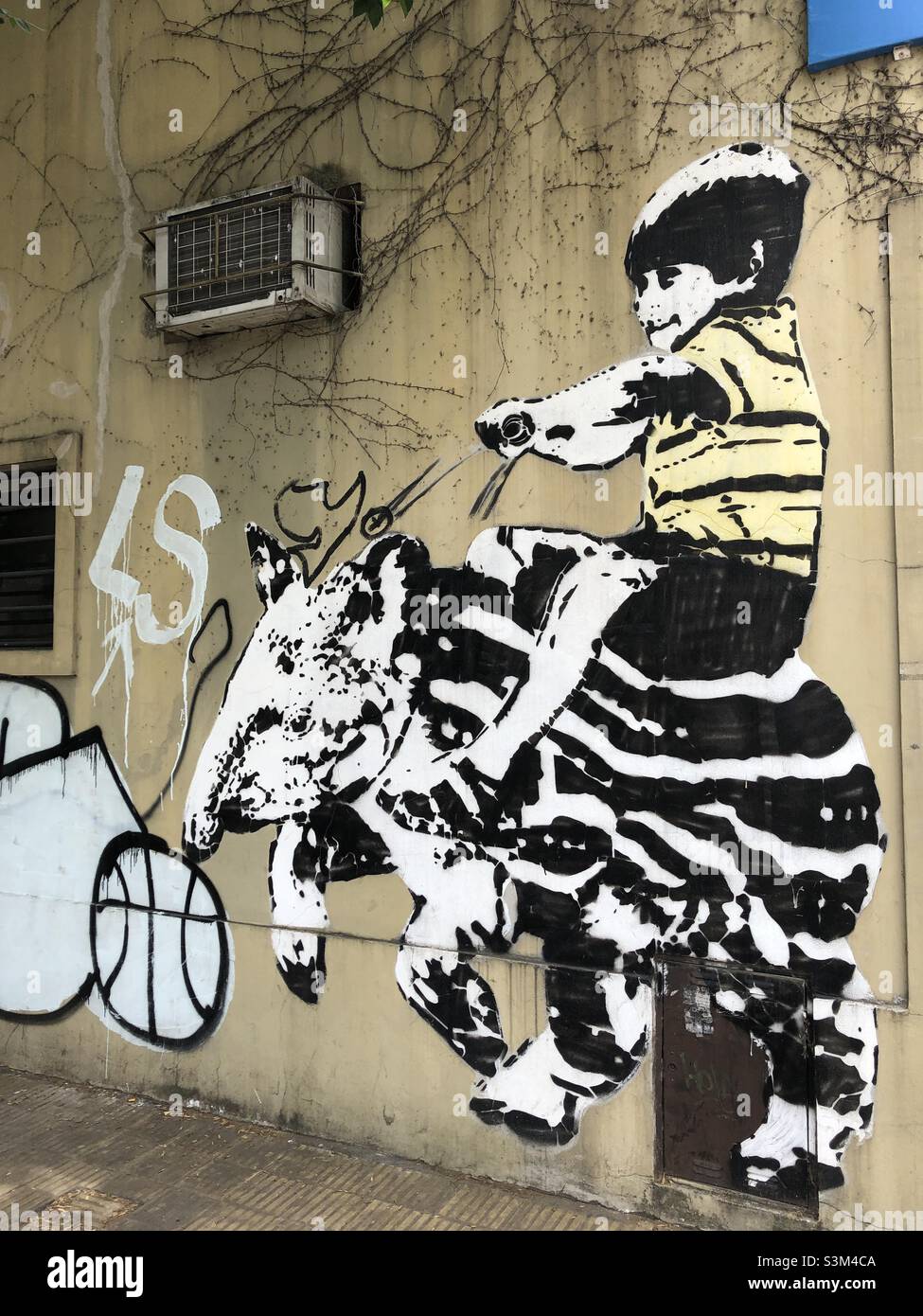 Urban street art in Palermo, a neighbourhood in Buenos Aires, Argentina. - Smartphone Captured Stock Image