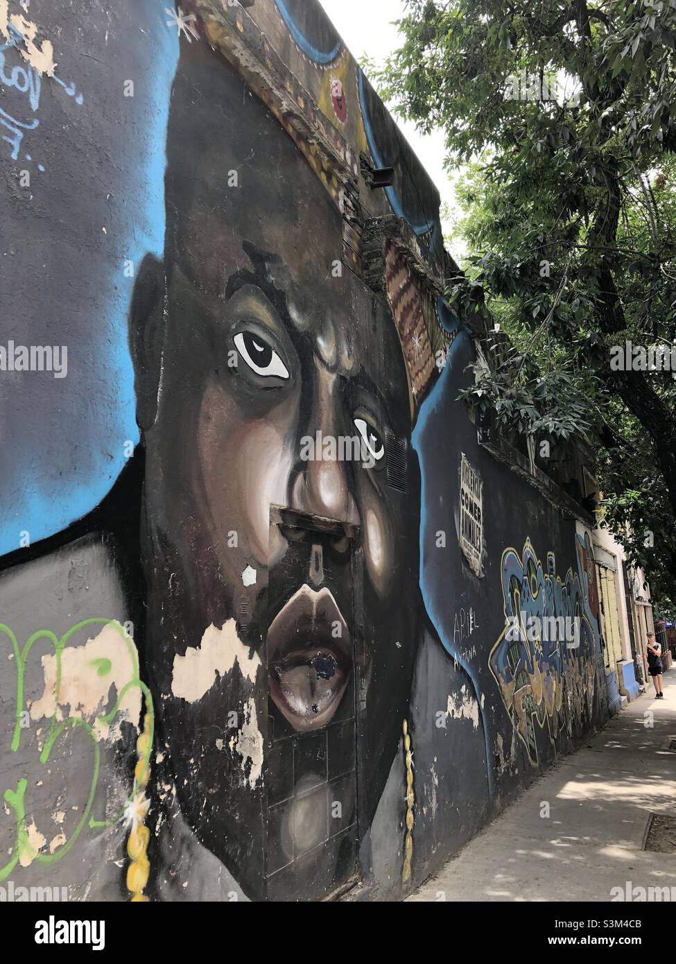 Urban street art in Palermo, a neighbourhood in Buenos Aires, Argentina. - Smartphone Captured Stock Image