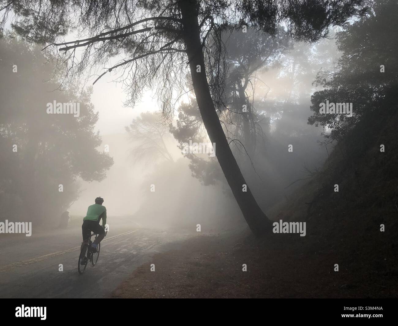 A lone bike rider makes his way down a foggy road in Griffith Park, Los Angeles as filtered sunbeams lead the way. - Smartphone Captured Stock Image