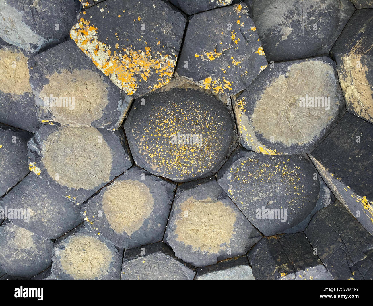 An octagon shaped basalt column is surrounded by similar shaped basalt rocks creating the phenomenon known as Giant’s Causeway near Bushmills in N. Ireland. An area of outstanding geological interest. - Smartphone Captured Stock Image