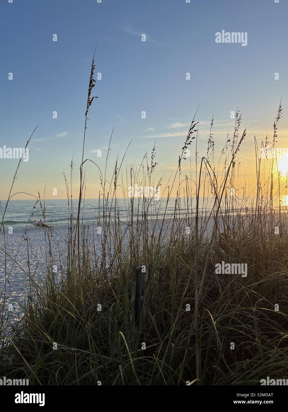 People watching the beginning of sunset on Florida white sand beach - Smartphone Captured Stock Image