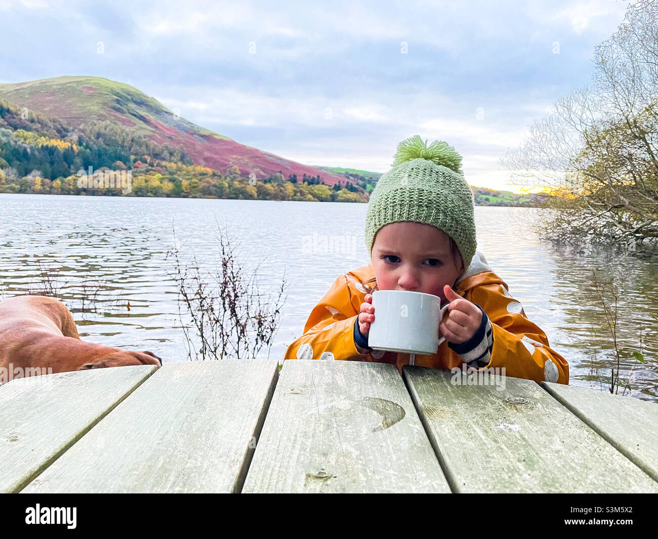 Cup of tea by the lake Stock Photo