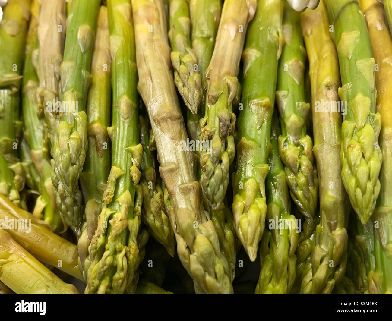 Close up of fresh asparagus tips. Background. No people. Stock Photo