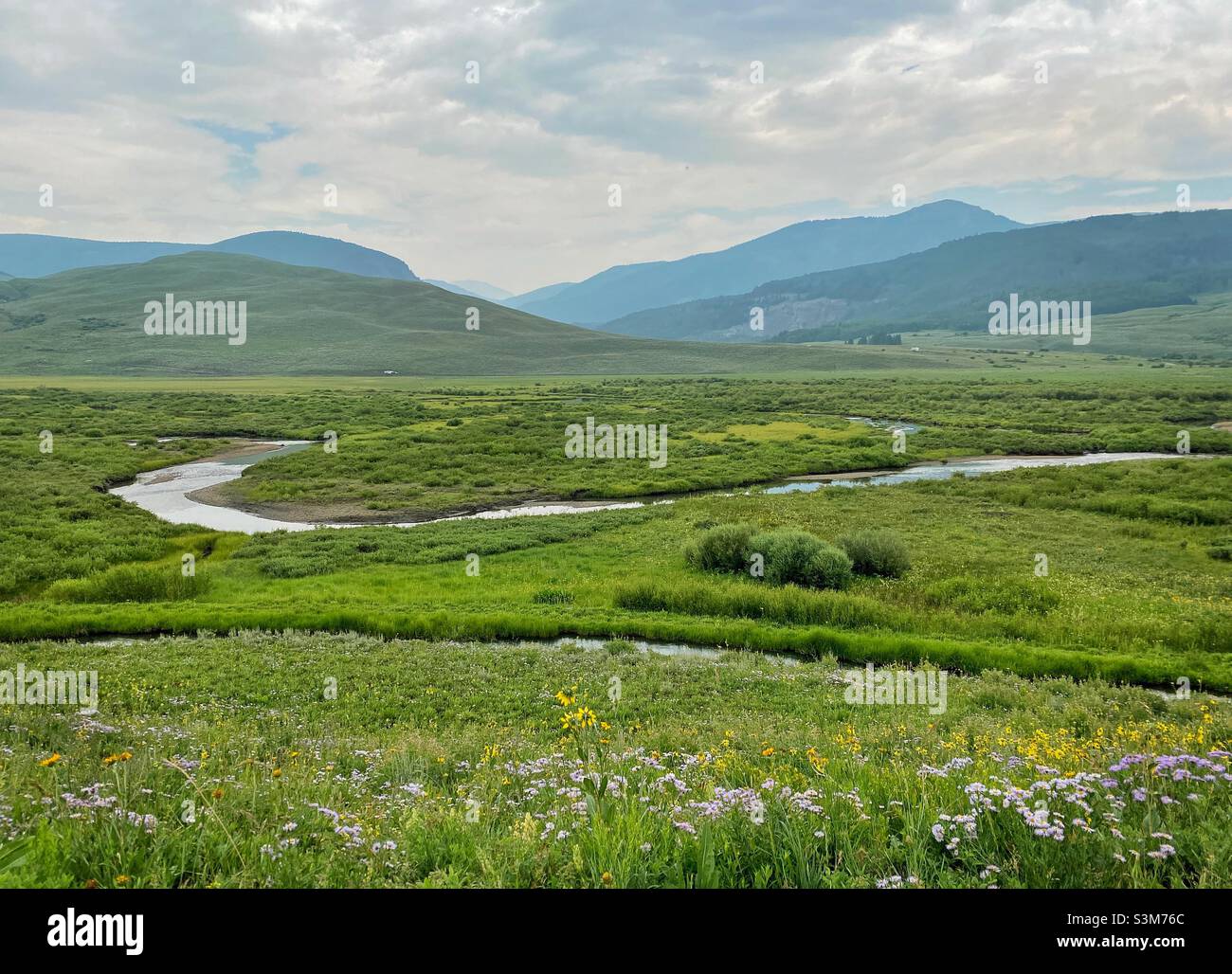 Beautiful landscape of a lush winding river valley with mountains and wildflowers on a summer day in the Rocky Mountains, Colorado, USA. - Smartphone Captured Stock Image