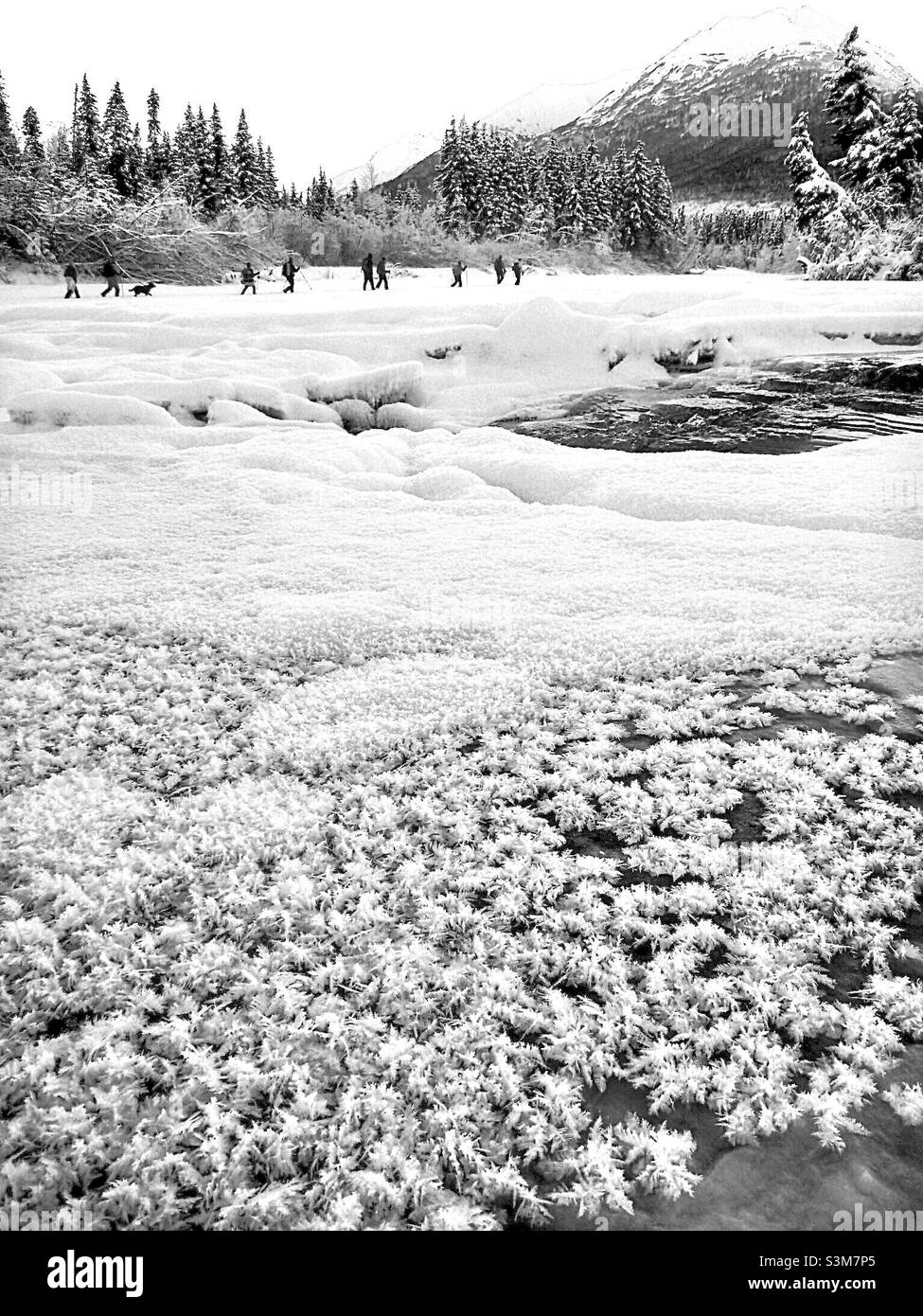 Hiking in the Alaskan Wilderness in winter time. - Smartphone Captured Stock Image