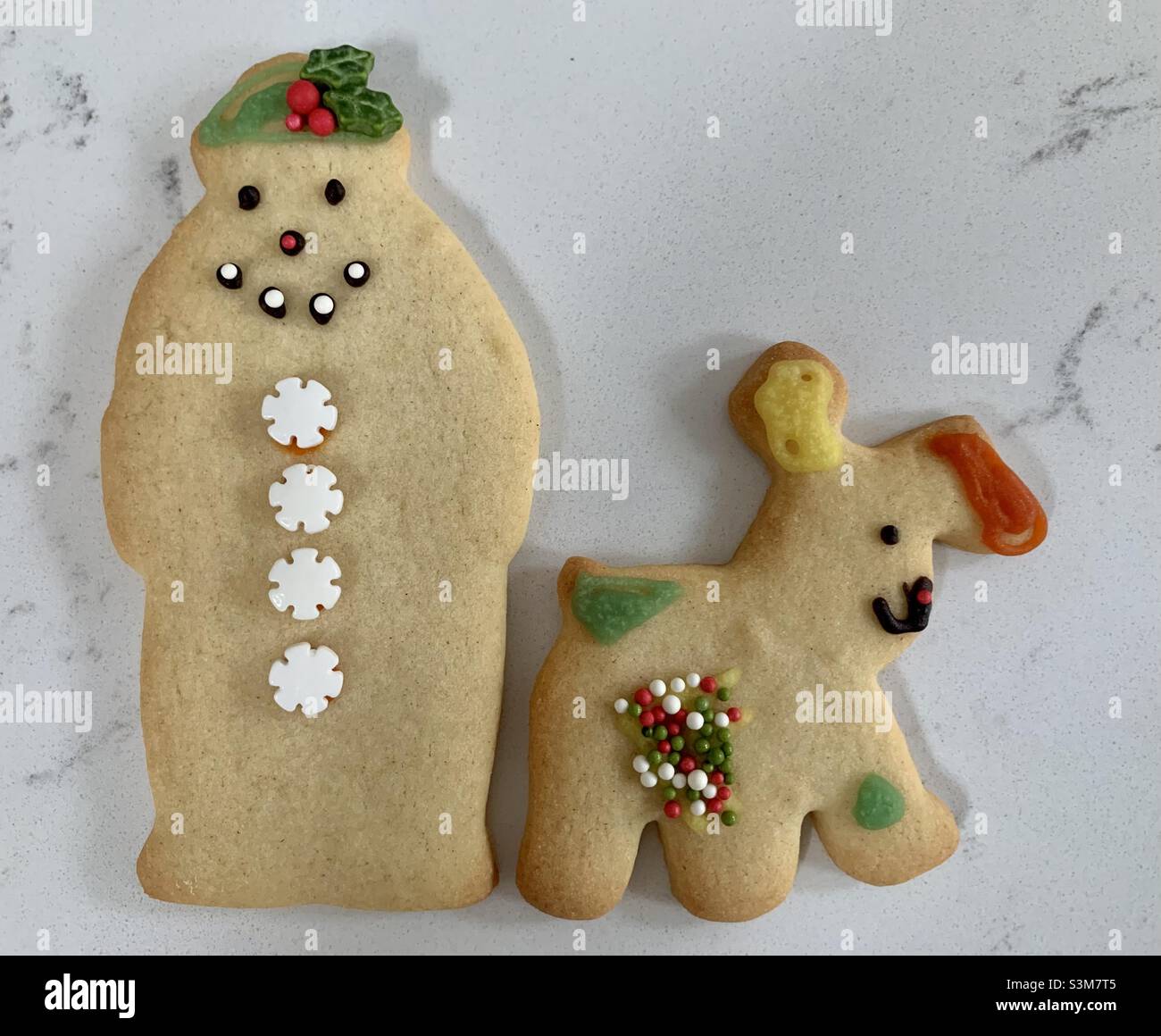 Snowman and snow dog homemade decorated Christmas biscuits - Smartphone Captured Stock Image