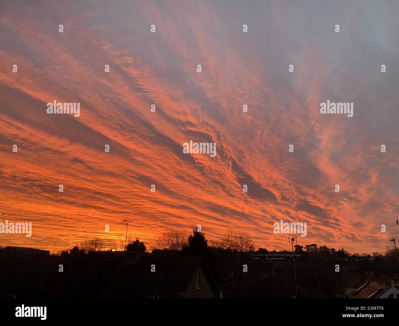 Orange sky at sunrise over silhouetted skyline of houses and trees Stock Photo