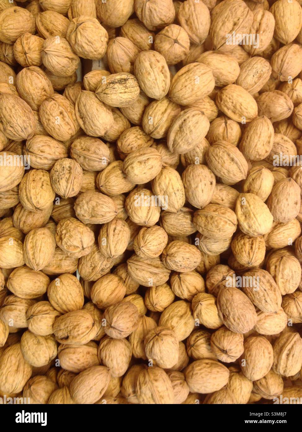 Nuts Stock Photo