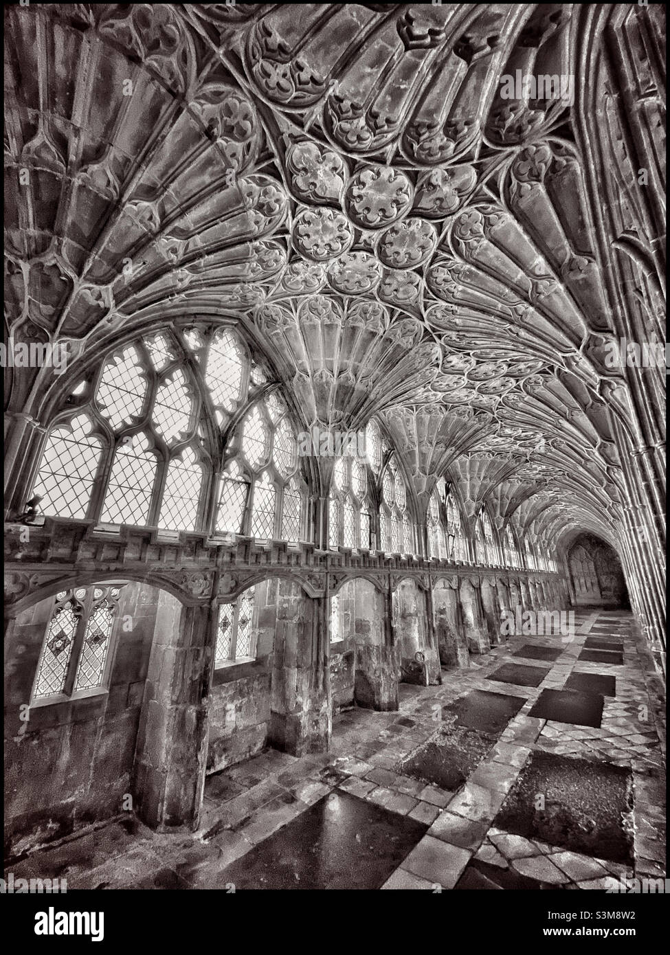 A passageway that forms part of the Cloisters area of Gloucester Cathedral. Famous for its iconic fan vaulted ceiling architecture & was used as a Harry Potter movie location. Photo ©️ COLIN HOSKINS. Stock Photo