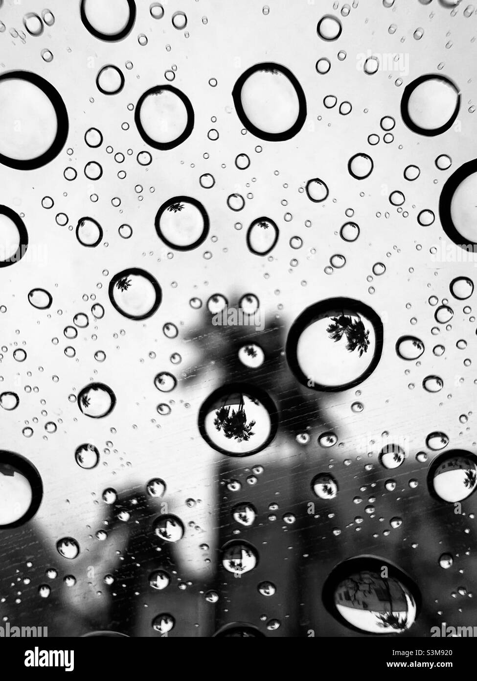 Southern California winter rain yields reflections in the droplets Stock Photo
