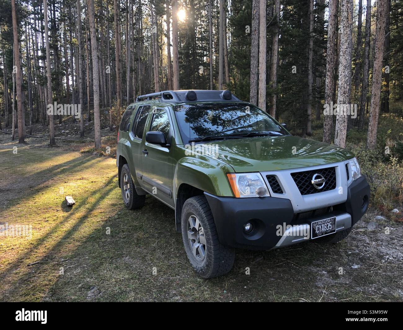 Camping in forest setting in a Nissan Xterra with filtered sunlight