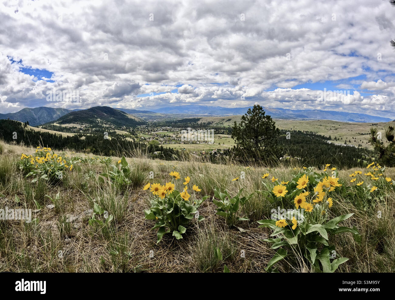 Mountain view of valley with balsam root flowers and a dramatic sky. Small northern rockies town. Stock Photo