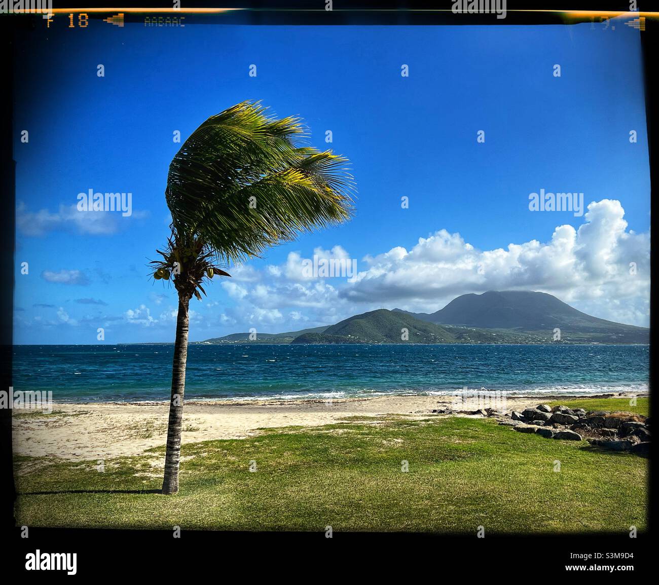 View of Mount Nevis Volcano from St.Kitts in the West Indies with a palm tree on Banana Bay Beach Stock Photo