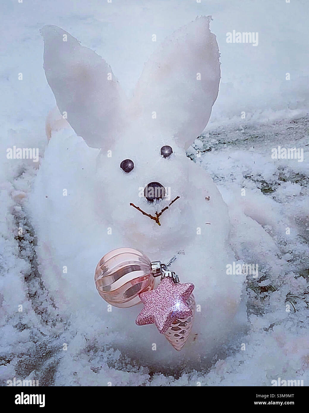 The snow bunny with decoration. Stock Photo