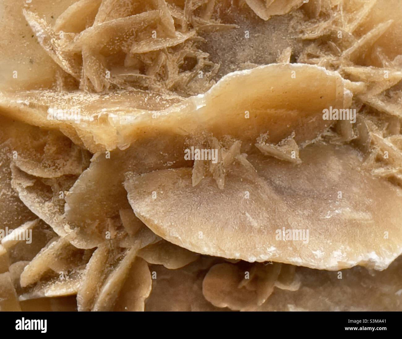A geological specimen from Tunisia of so-called sand rose or Desert Rose - Smartphone Captured Stock Image