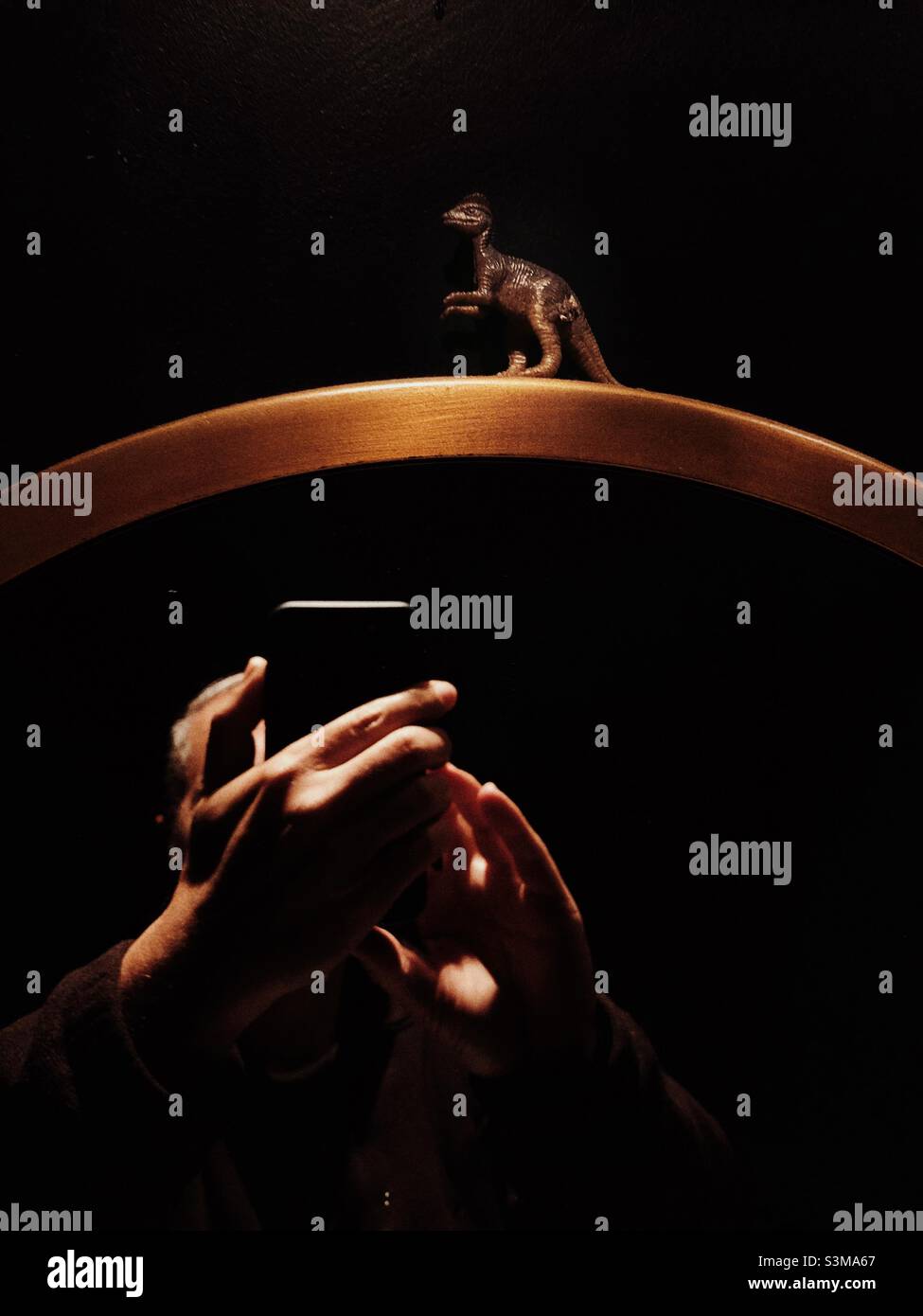 Dinosaur on a golden coloured  frame of a mirror as a person takes  a photo in the mirror with smartphone - Smartphone Captured Stock Image