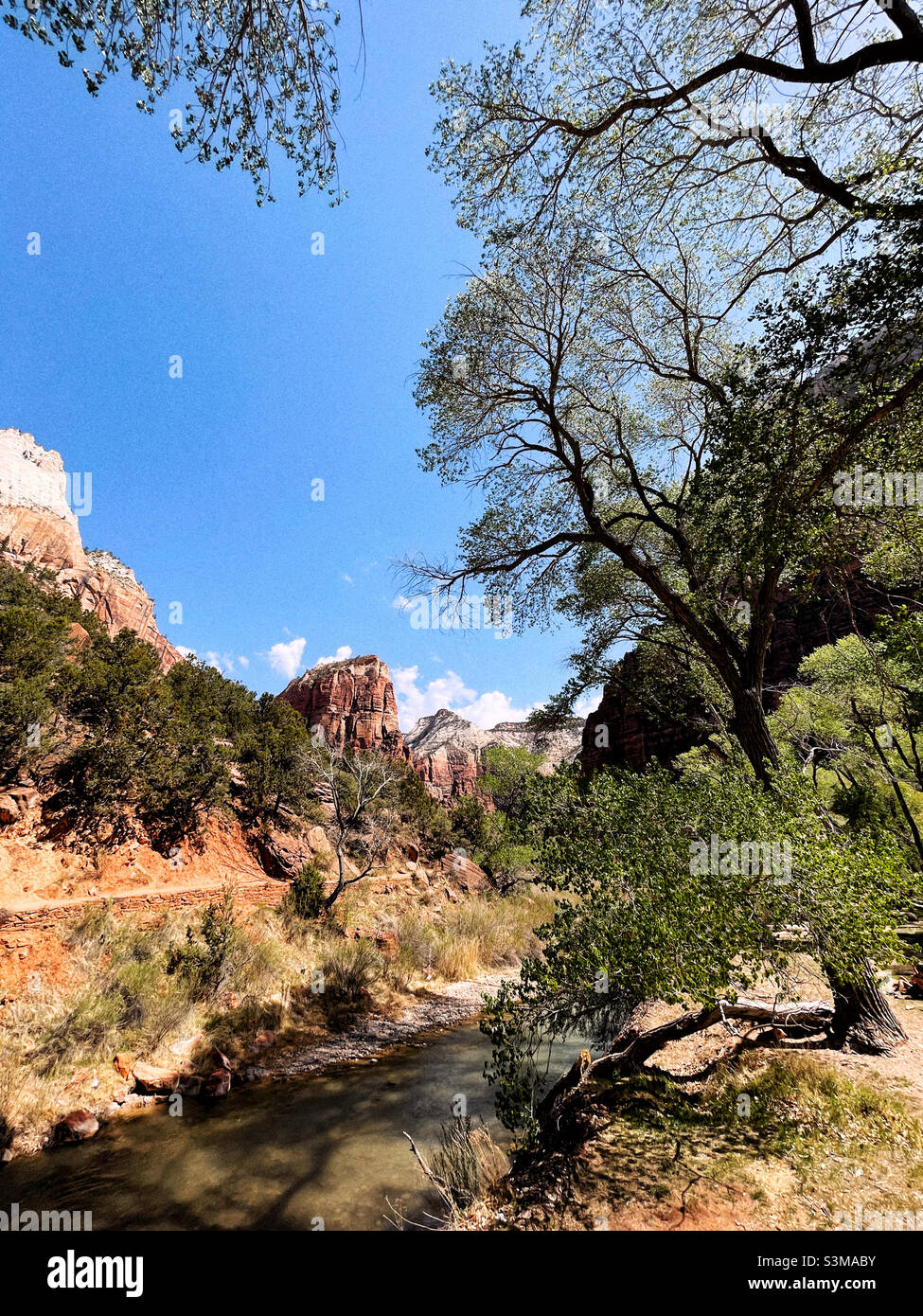Virginia river in Zion National park - Smartphone Captured Stock Image