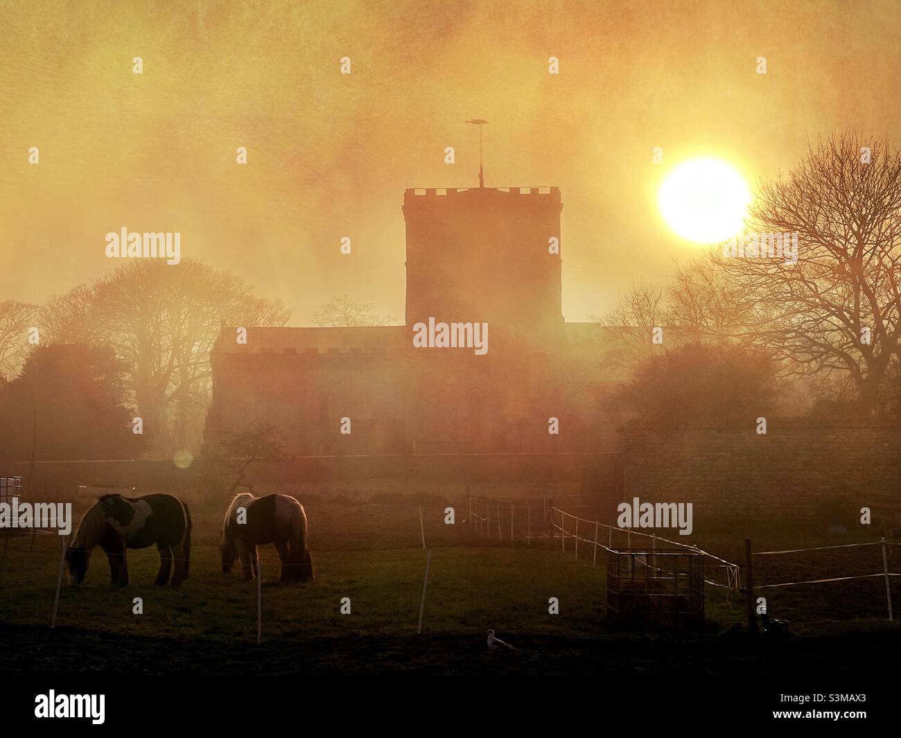 Misty winter sun over a church - Smartphone Captured Stock Image
