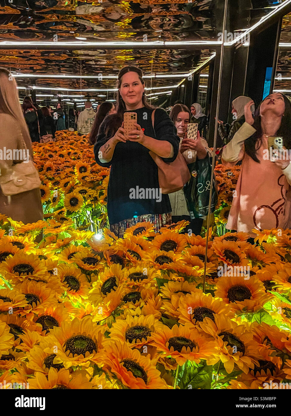 Sunflowers van gogh hires stock photography and images Alamy