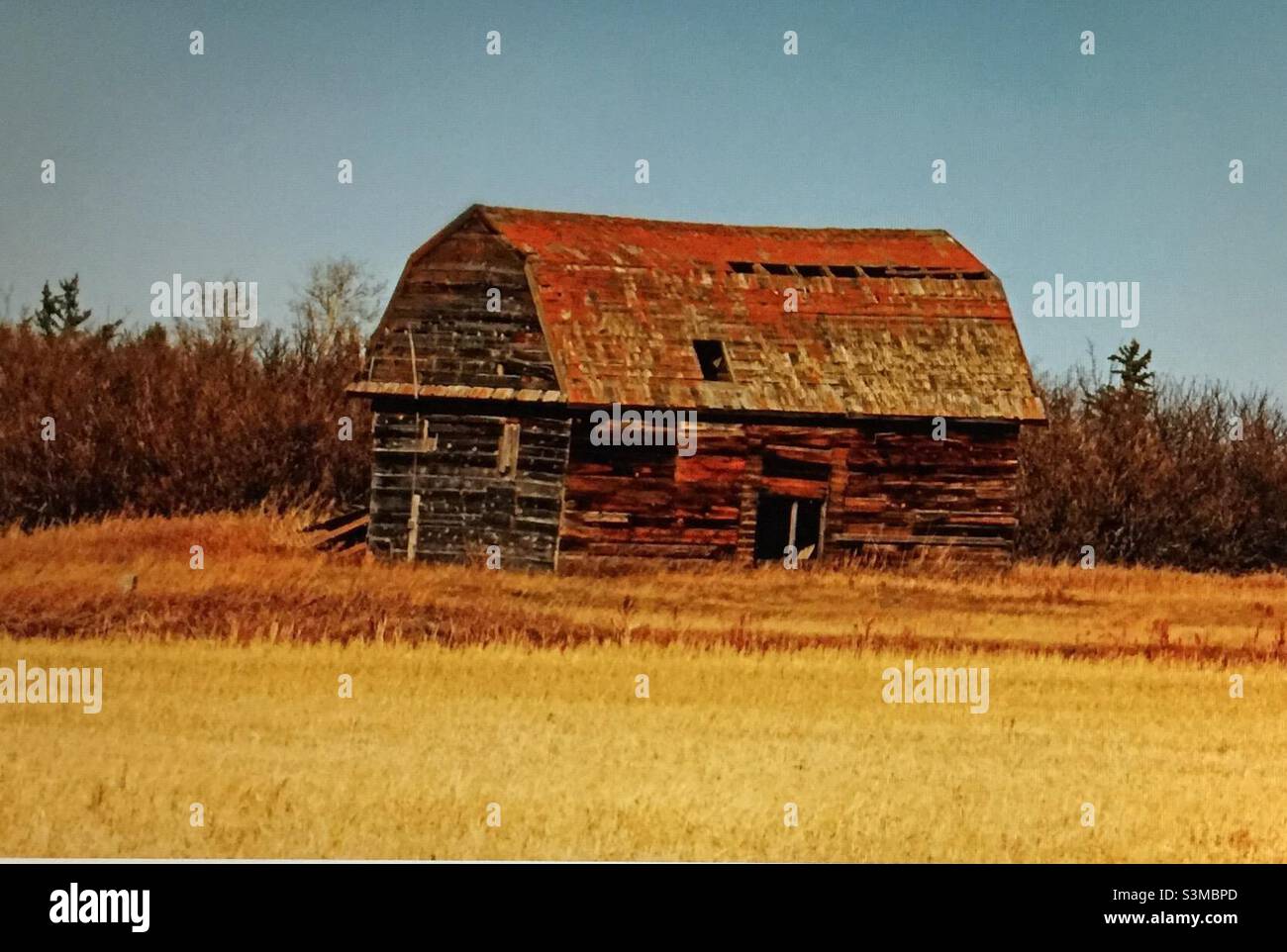 Historic barn, old, abandoned, unused, sagging, weathered, unpainted, broken, prairie, farm - Smartphone Captured Stock Image