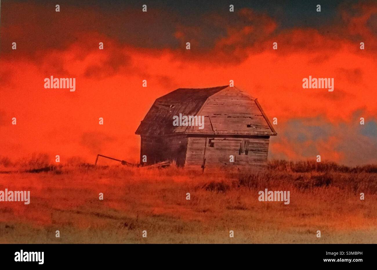 Historic barn, old, abandoned, unused, sagging, weathered, unpainted, broken, prairie, farm, sunrise, red sky - Smartphone Captured Stock Image