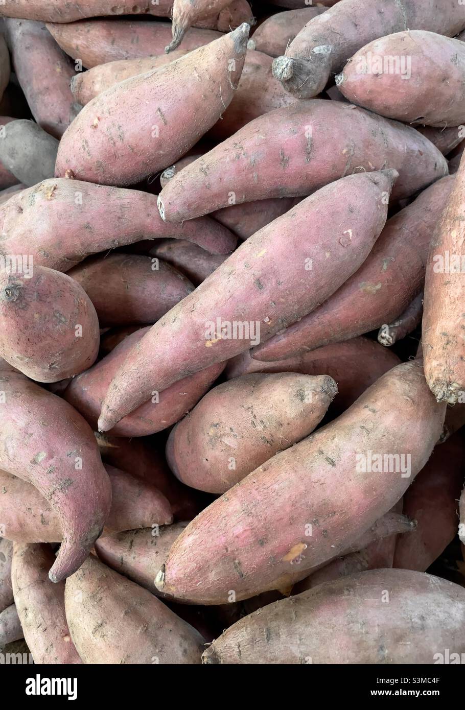 Sweet potato for sale in the local farm shop Stock Photo Alamy