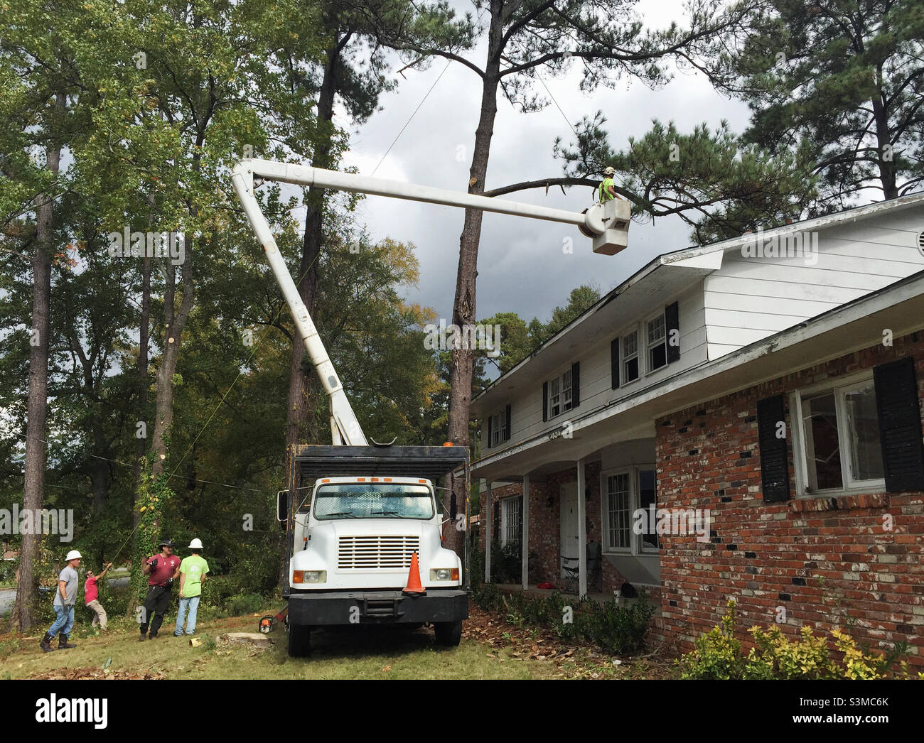 Tree removal at a residential property. Stock Photo
