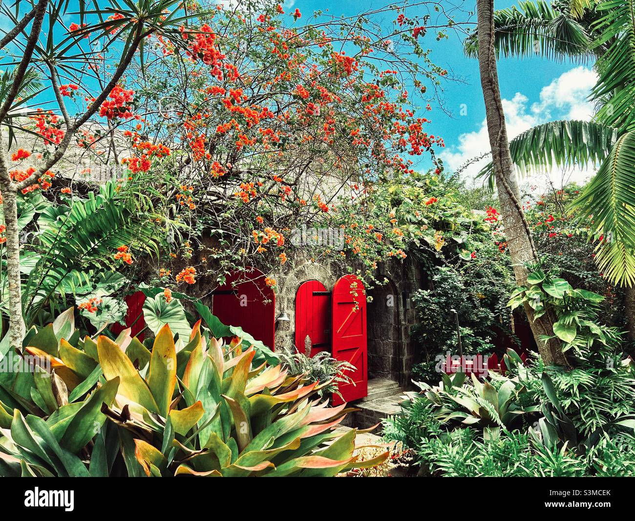 Tropical Gardens at Golden Rock Inn In Nevis, West Indies Stock Photo