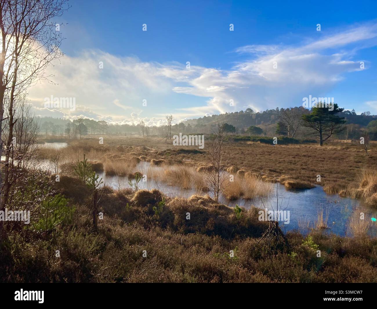 Lowland heath in winter with pond and distance hill. A sunny day in winter with golden colours and blue sky Stock Photo