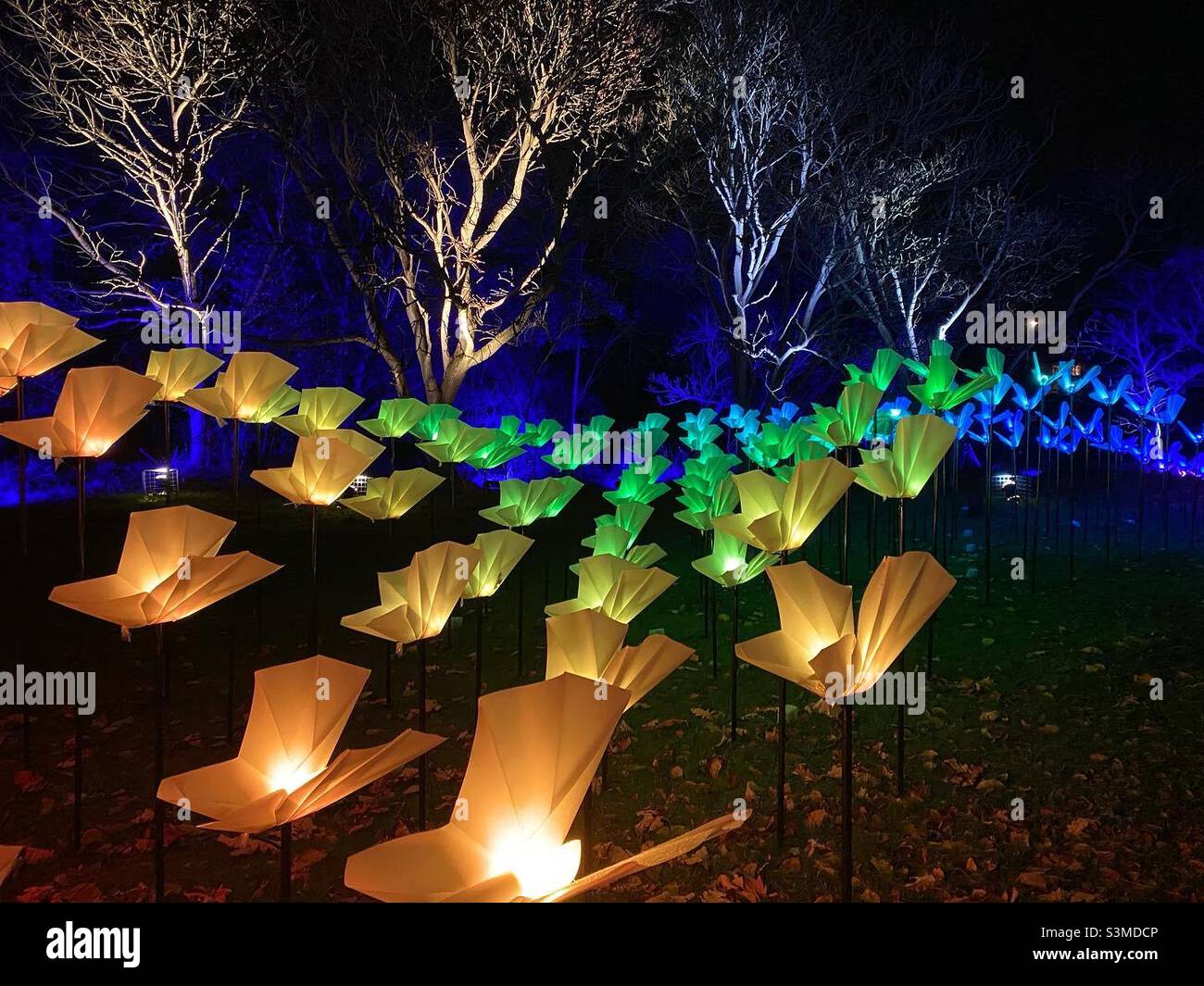 Christmas at Kew 2021 Stock Photo Alamy