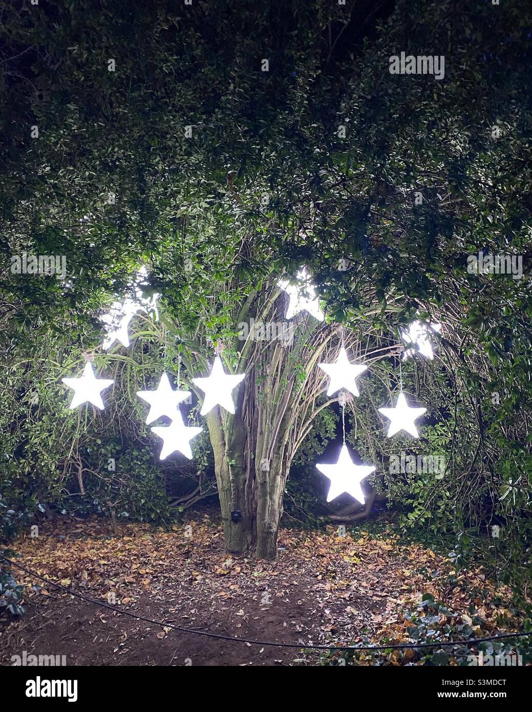 Christmas at Kew 2021 Stock Photo Alamy