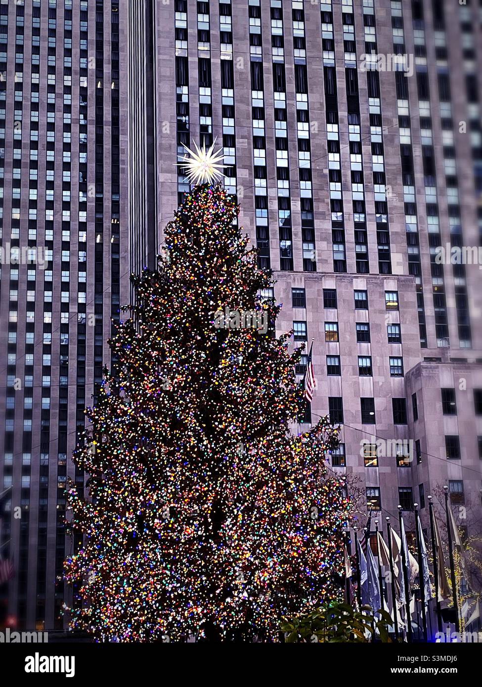 The iconic Christmas tree at Rockefeller Center is a tourist attraction during the holiday