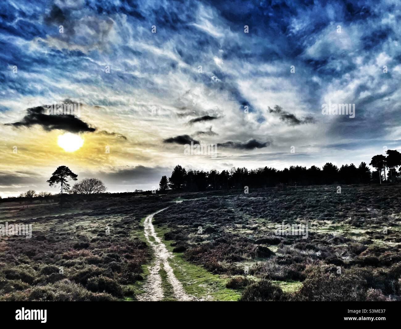 Sutton Heath Suffolk England - Smartphone Captured Stock Image