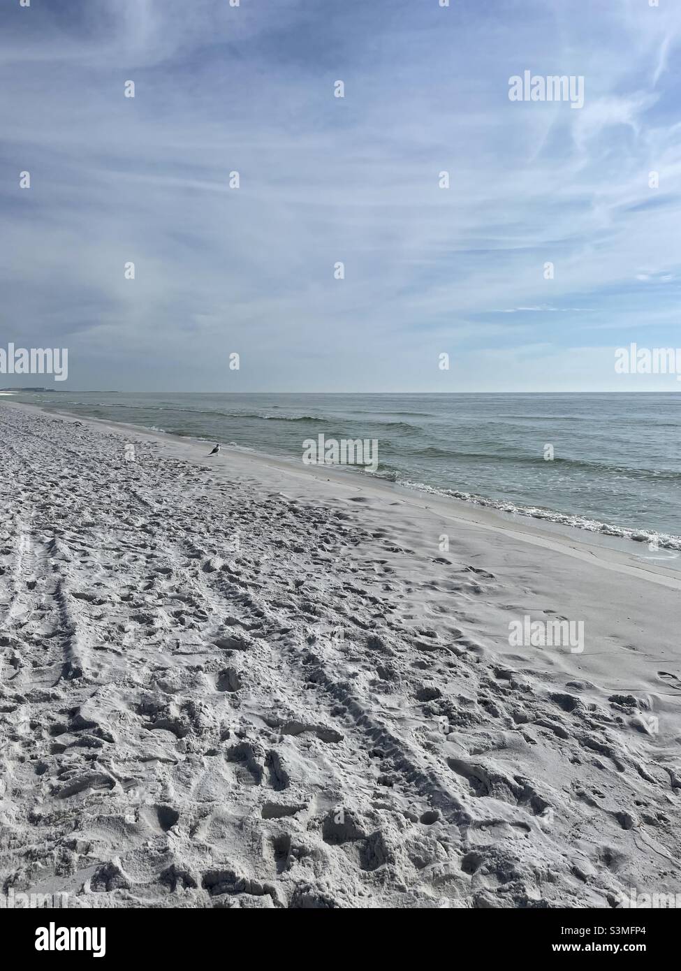 Winter shoreline view of Florida panhandle white sand beach - Smartphone Captured Stock Image