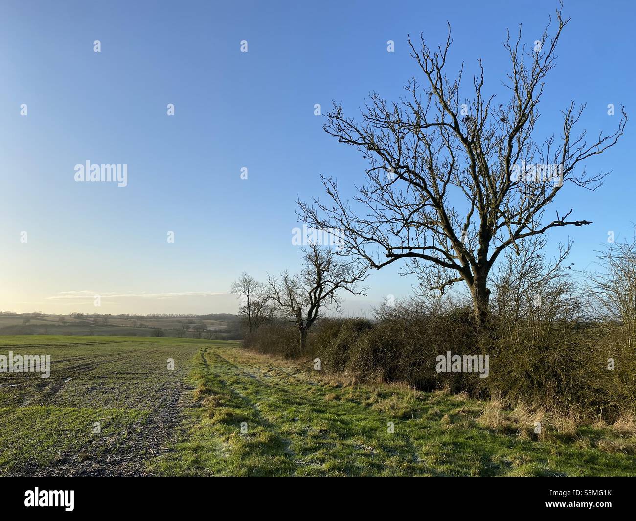 View over a field in the countryside with a bright blue sky Stock Photo