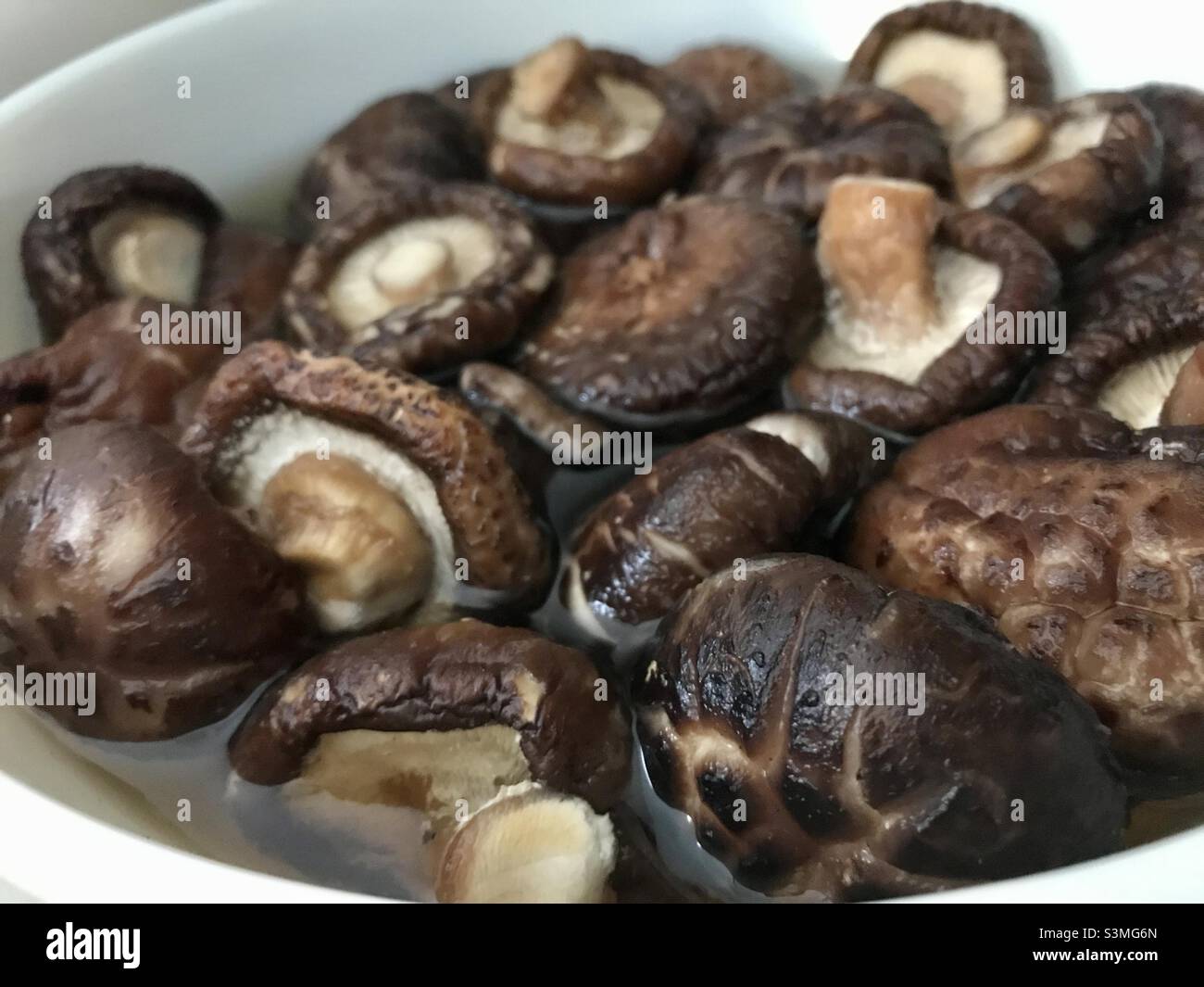 Dried shiitake mushrooms rehydrating in a bowl of water Stock Photo Alamy
