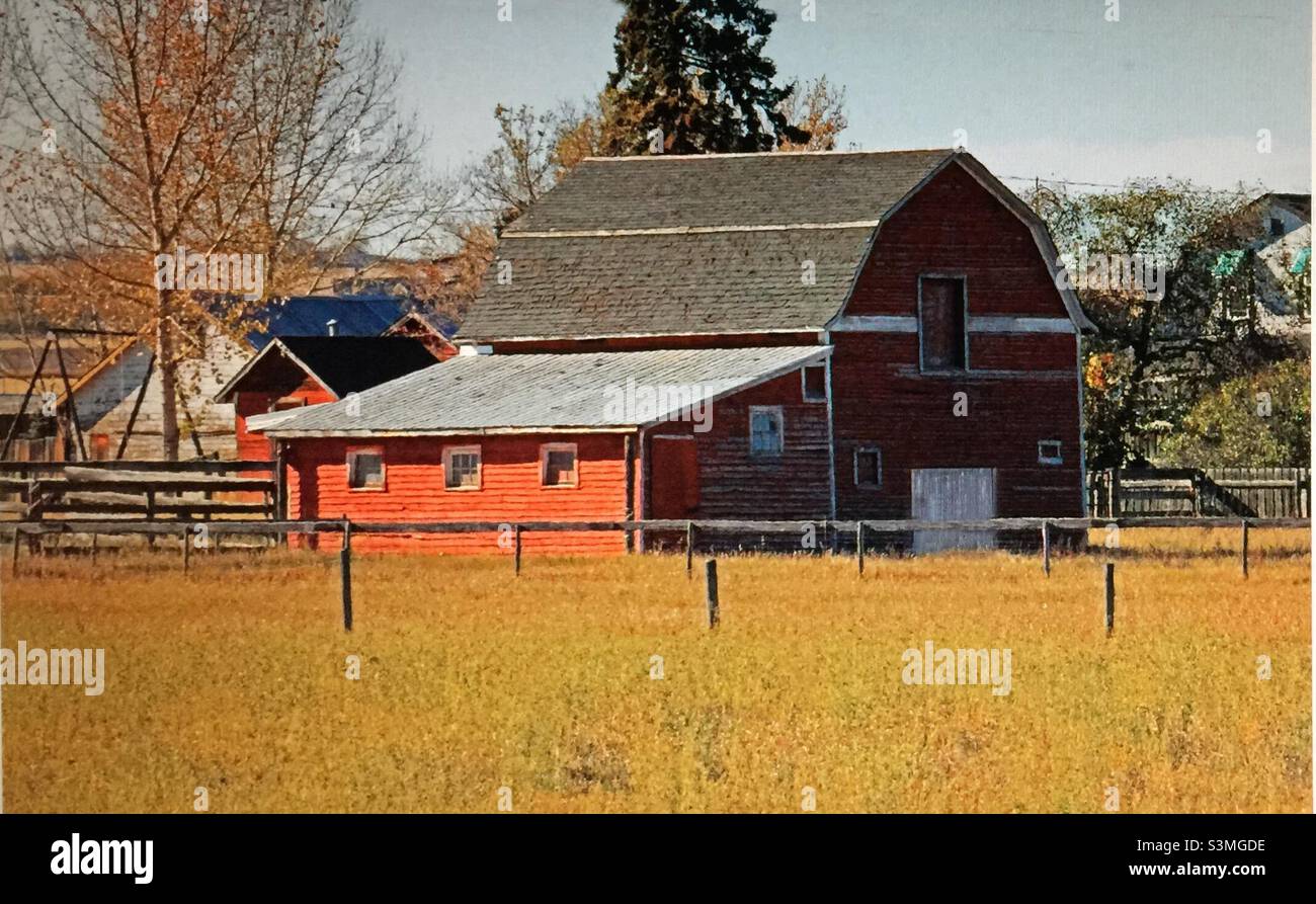 Historic barn, red, hip roof, lean to, black roof, prairie, farming, agriculture, shelter, storage, al Etta, Canada - Smartphone Captured Stock Image