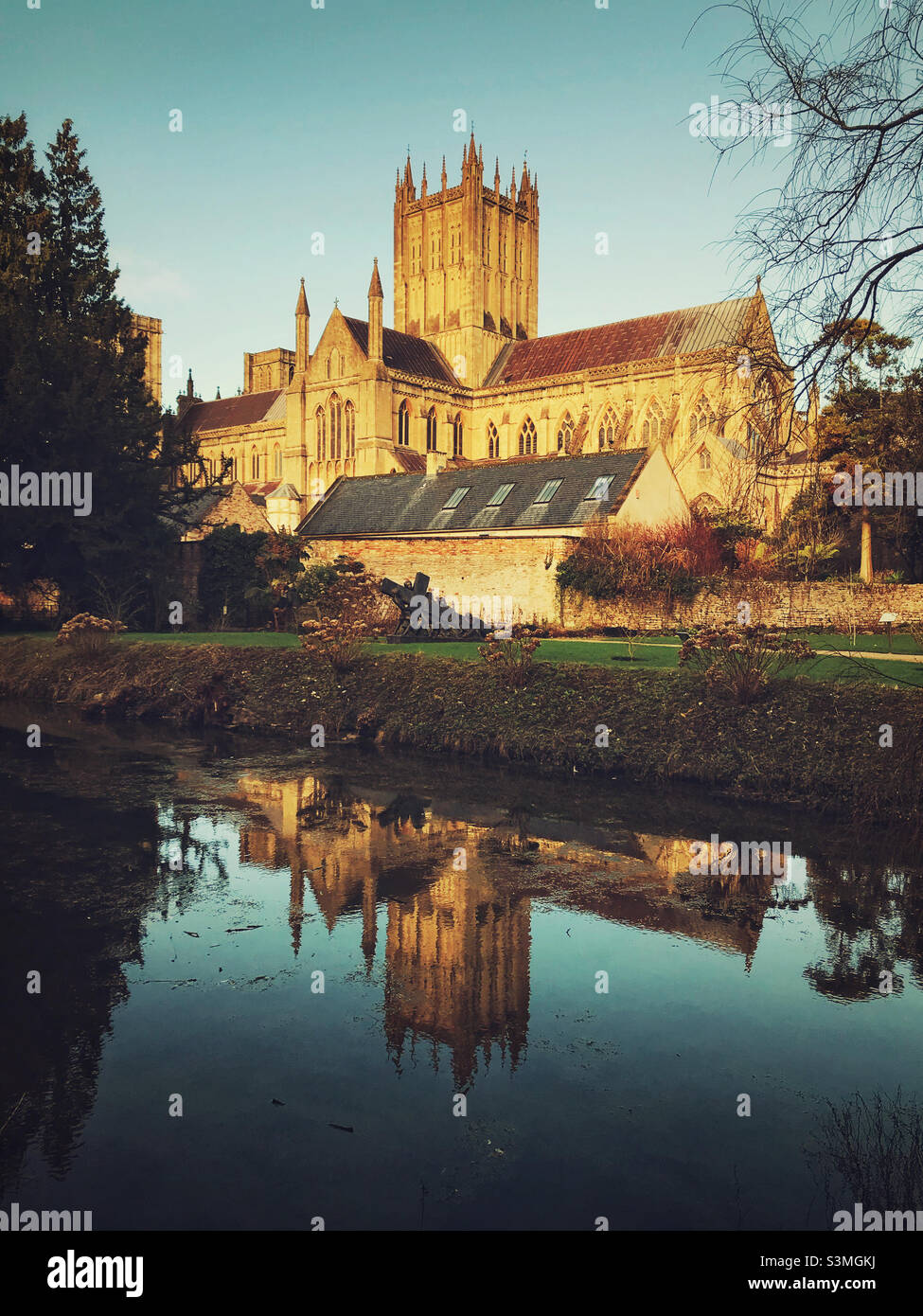 Wells Cathedral from the garden of the Bishop’s Palace, Wells, Somerset Stock Photo