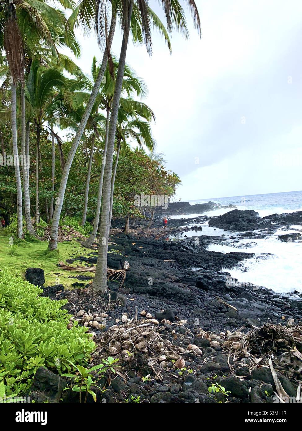 Black Sand Beach Big Island Hawaii Stock Photo - Alamy