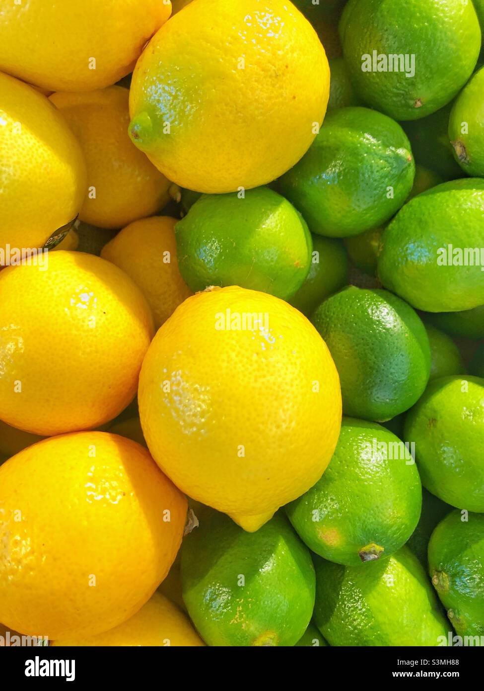 Full frame food background of juicy and plump lemons and limes on a market stall in a citrus fruit concept with copy space - Smartphone Captured Stock Image
