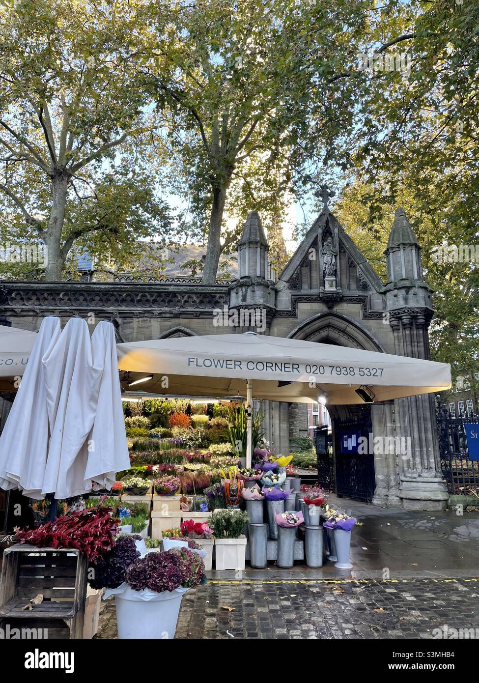 Kensington High Street Flower Market Stock Photo Alamy