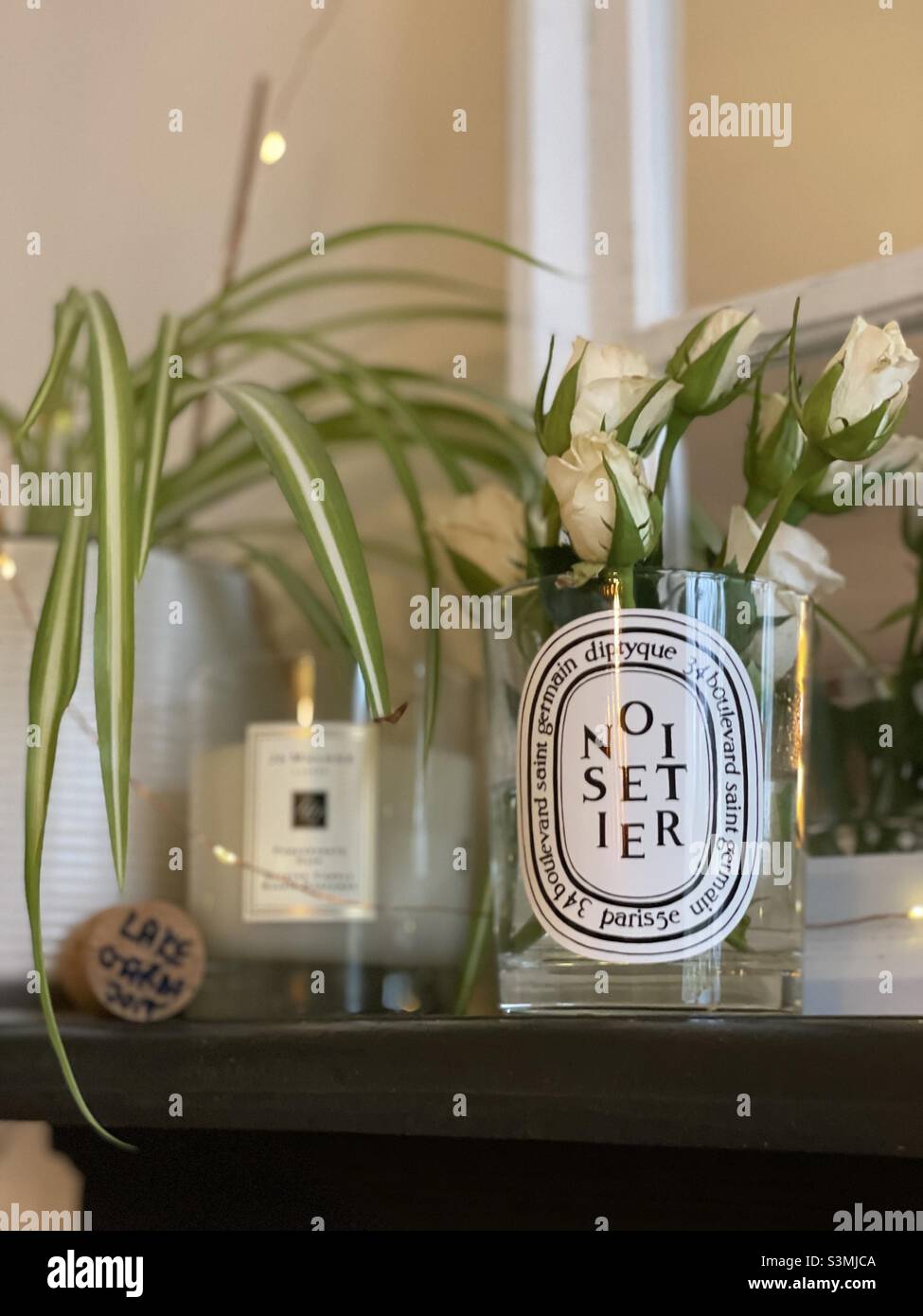 Mantelpiece candle plant interiors - Smartphone Captured Stock Image